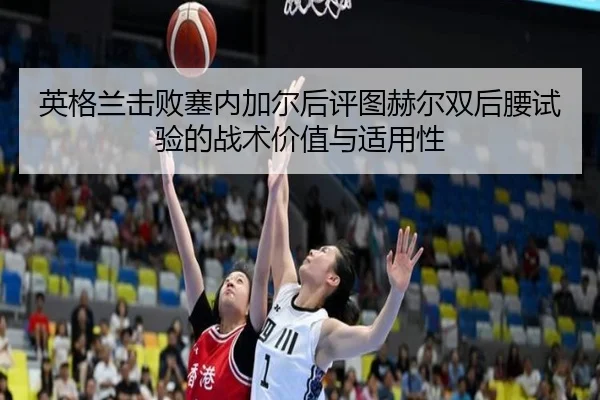 ying-ge-lan-ji-bai-sai-nei-jia-er-hou-ping-tu-he-er-shuang-hou-yao-shi-yan-de-zhan-shu-jia-zhi-yu-shi-yong-xing-2-216.jpg